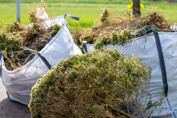 Best Professional Junk Removal  in Mammoth Lakes, CA